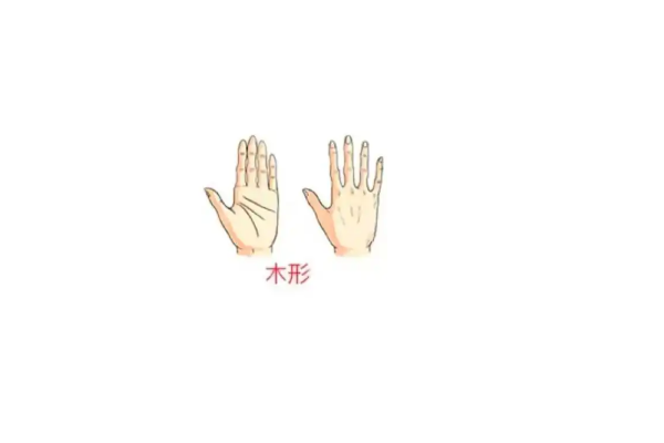 木型手（修长手）示例图